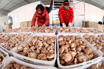 十堰鄖陽:脫貧攻堅路上的鏗鏘足音——林業產品銷售助力鄉村振興