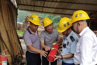 守牢安全底線 護航林業發展——鳳山大隊聯合應急管理局、林業局開展木材加工廠消防安全檢查