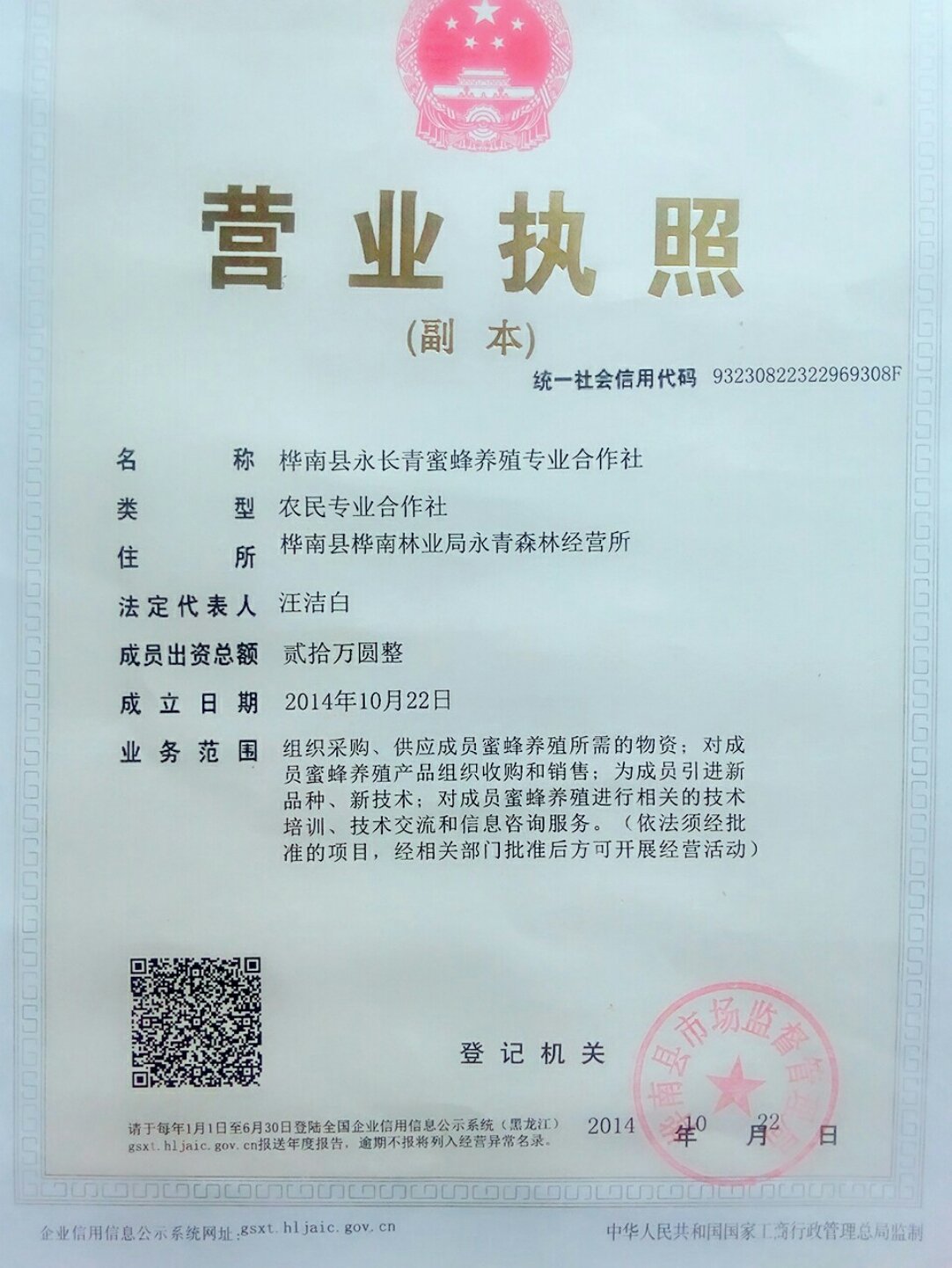 樺南縣林業產品銷售新篇章 綠水青山間的綠色財富